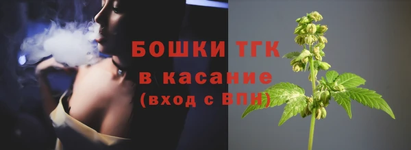 хмурый Семилуки